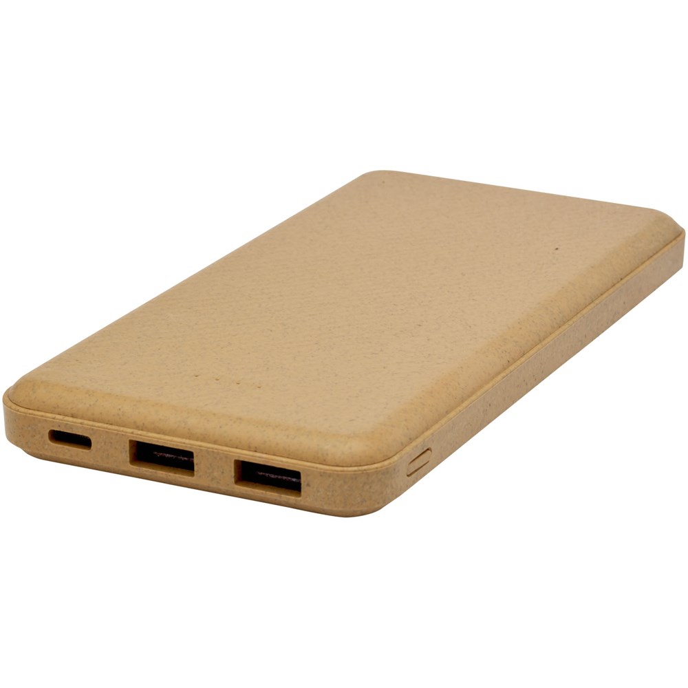 Eco 10.000 mAh Powerbank